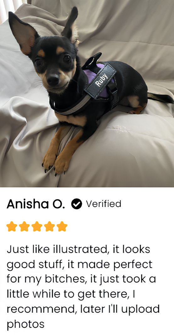 Breathable No Pull Personalized Dog Harness