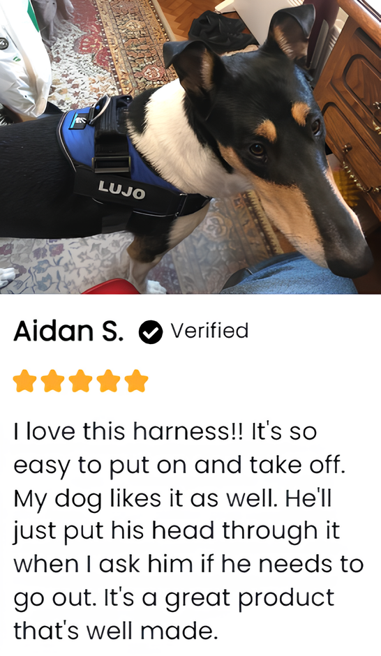 Breathable No Pull Personalized Dog Harness