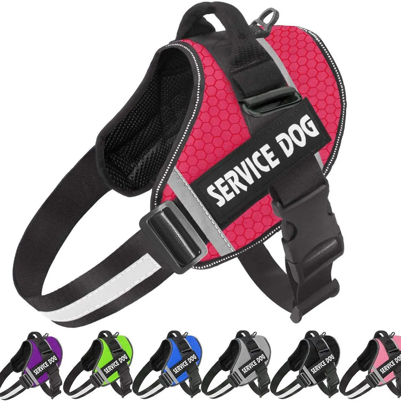 Personalized No Pull Dog Harness