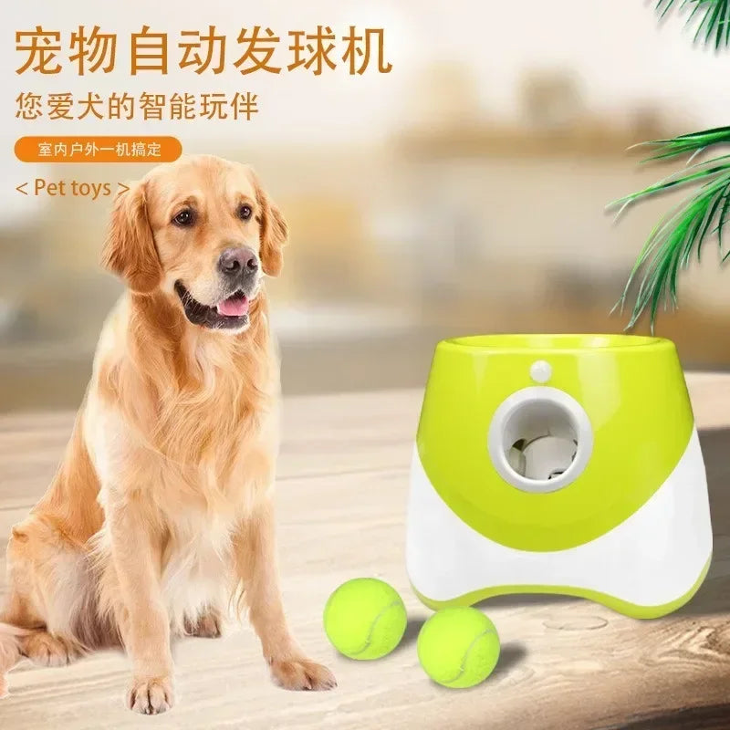 Automatic Pet Throw Jump Ball Dog Catapult Ball Launcher Dog Toy Bulldog Toy Tennis Machine Automatic Pet Throw