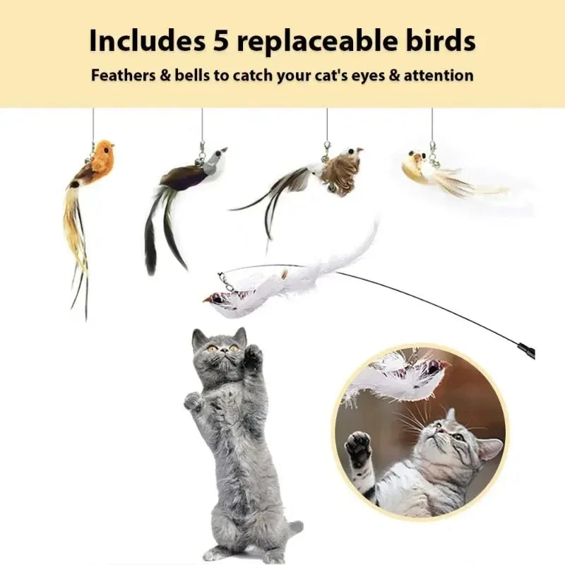 Interactive Bird Simulation Cat Toy Set