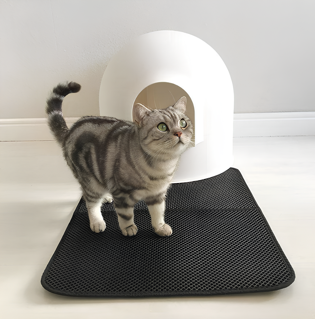 Waterproof Cat Litter Mat